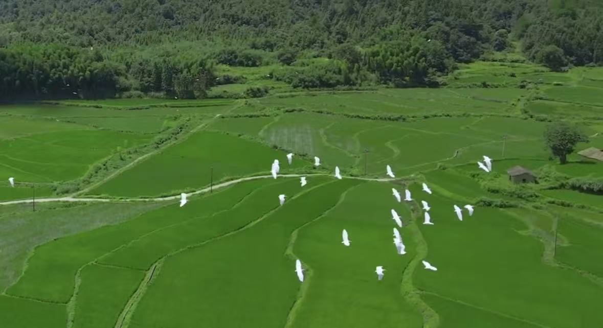“绿水青山就是金山银山。”
