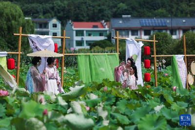 美丽乡村开启夏日荷文化旅游季