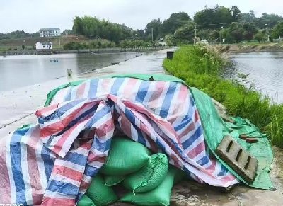 湖北蕲春县：整治赤东湖环境 助推水质不断提升