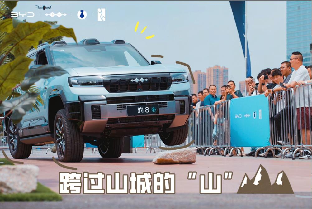 图片10.jpg
