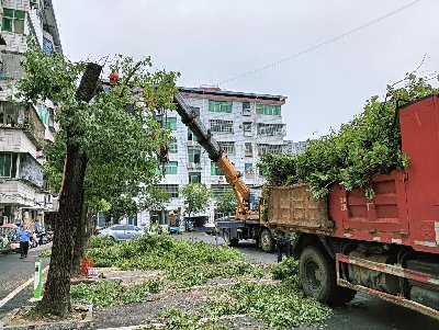 湖北黄冈市生态环境局蕲春县分局积极应对暴雨台风来袭