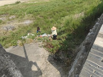 湖北蕲春：持续优化人居环境  擦亮乡村整洁底色